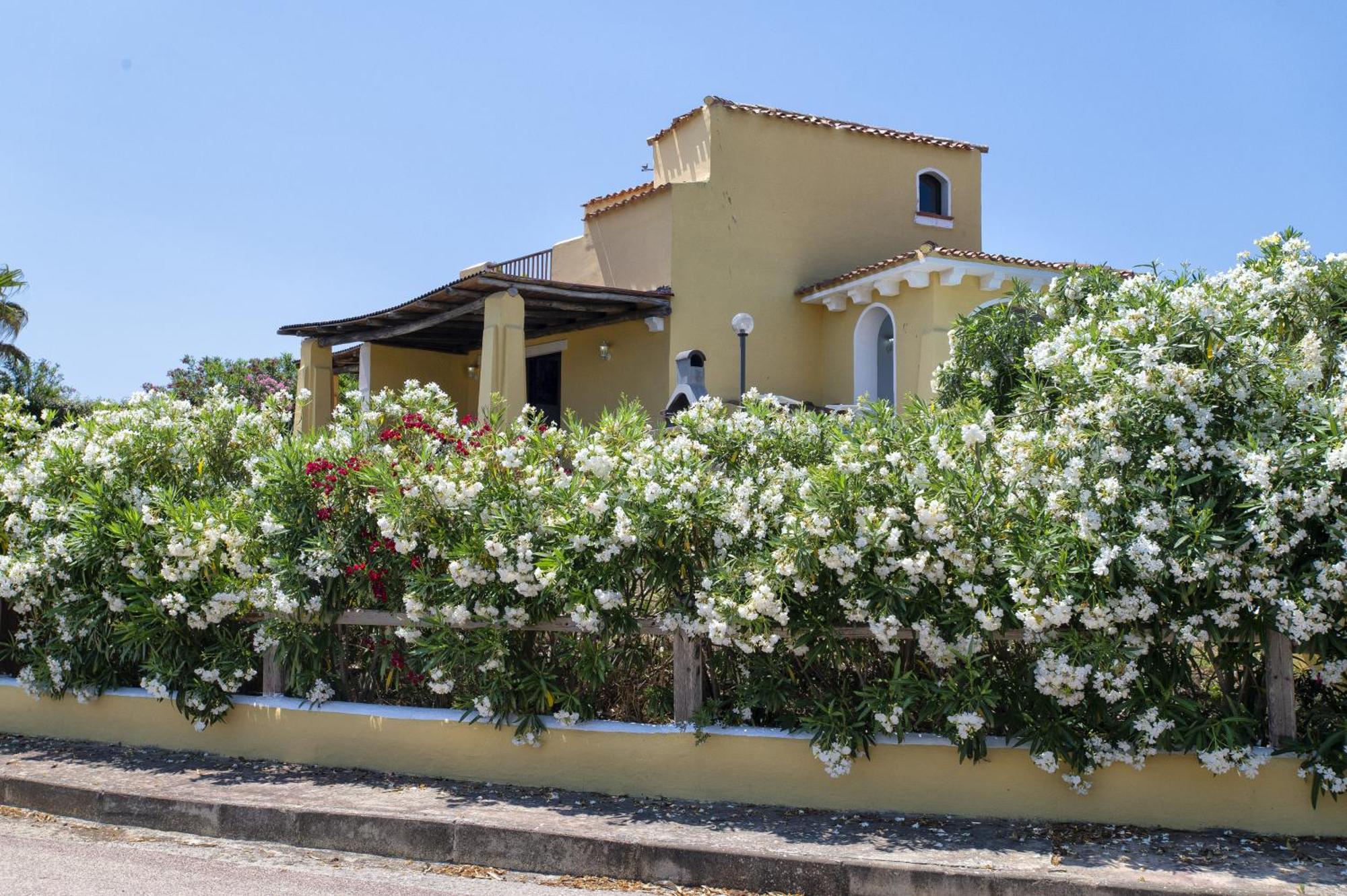 Villa Azzurra 斯廷蒂诺 外观 照片